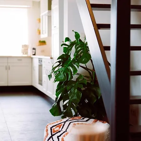 Beautiful House With Hottub Near Sea And Bruges Prázdninový dům *