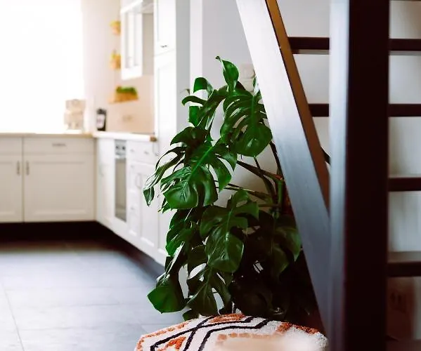 Beautiful House With Hottub Near Sea And Bruges Dom wakacyjny *